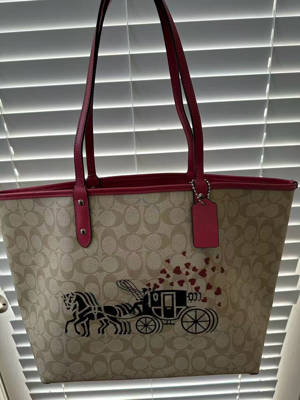 Coach Limited Edition Valentine Tote Bag
